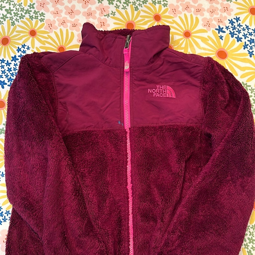 North Face Jacket